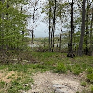 3384 Huggins Road, Tyrone, New York image 10