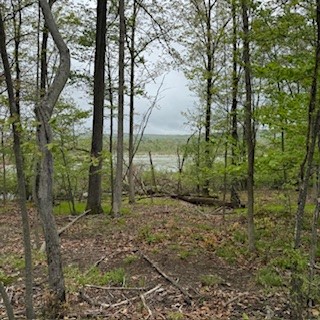 3384 Huggins Road, Tyrone, New York image 8