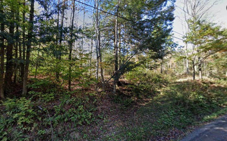 2959 roods creek road