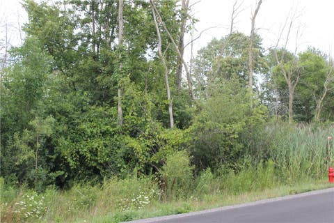 Featured picture for the property R1490133
