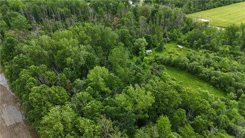 Tiny photo for 0 Shelby Barre Townline Road, Barre, NY 14411 (MLS # R1693734)