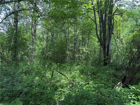 Tiny photo for 0 Shelby Barre Townline Road, Barre, NY 14411 (MLS # R1693734)