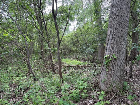 Tiny photo for 0 Shelby Barre Townline Road, Barre, NY 14411 (MLS # R1693734)