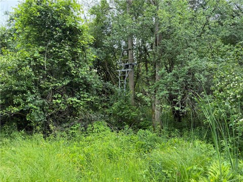 Tiny photo for 0 Shelby Barre Townline Road, Barre, NY 14411 (MLS # R1693734)