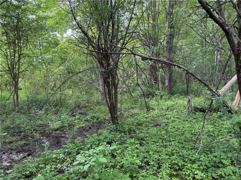 Tiny photo for 0 Shelby Barre Townline Road, Barre, NY 14411 (MLS # R1693734)
