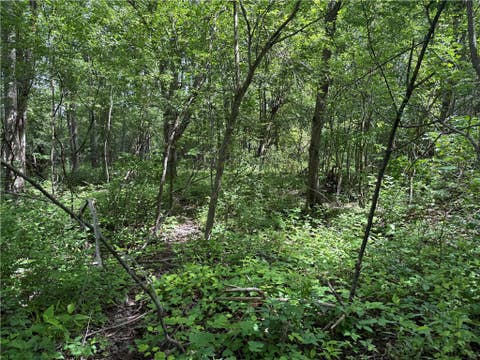 Tiny photo for 0 Shelby Barre Townline Road, Barre, NY 14411 (MLS # R1693734)