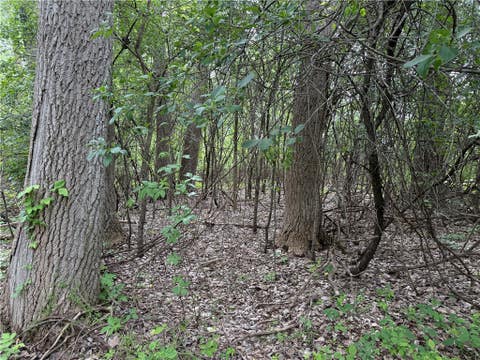 Tiny photo for 0 Shelby Barre Townline Road, Barre, NY 14411 (MLS # R1693734)