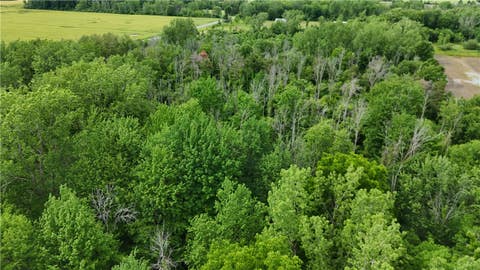Tiny photo for 0 Shelby Barre Townline Road, Barre, NY 14411 (MLS # R1693734)