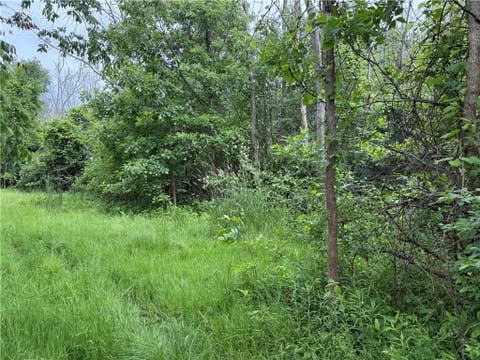 Tiny photo for 0 Shelby Barre Townline Road, Barre, NY 14411 (MLS # R1693734)