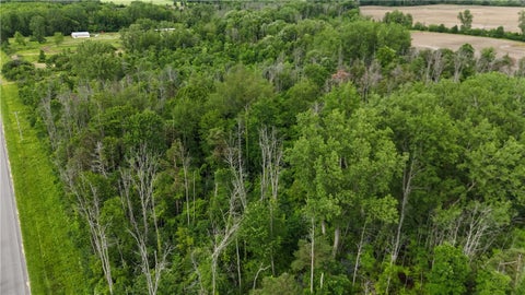 Tiny photo for 0 Shelby Barre Townline Road, Barre, NY 14411 (MLS # R1693734)