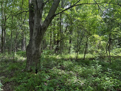Tiny photo for 0 Shelby Barre Townline Road, Barre, NY 14411 (MLS # R1693734)