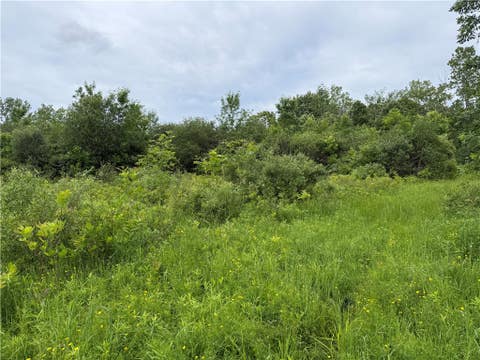 Tiny photo for 0 Shelby Barre Townline Road, Barre, NY 14411 (MLS # R1693734)