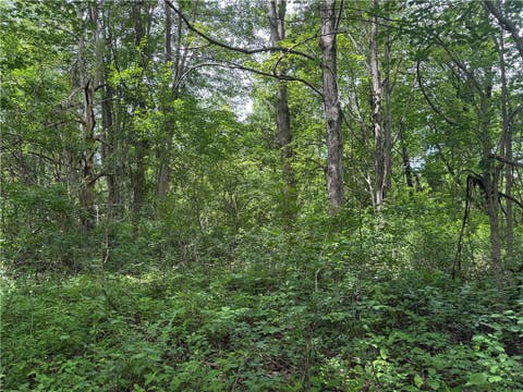 Tiny photo for 0 Shelby Barre Townline Road, Barre, NY 14411 (MLS # R1693734)