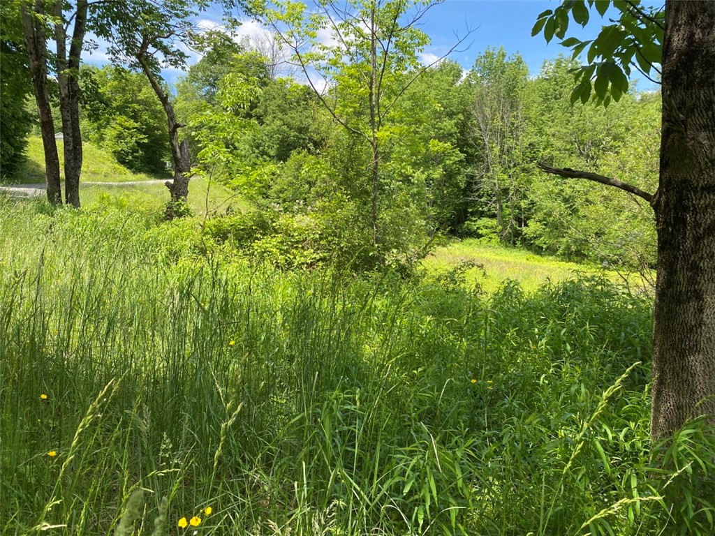 Silas Tompkins Road, Hancock, New York image 4