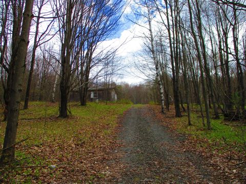 Vacant Land For Sale - 990 Smokey Avenue<br/> Otsego County, Westford, NY 12155