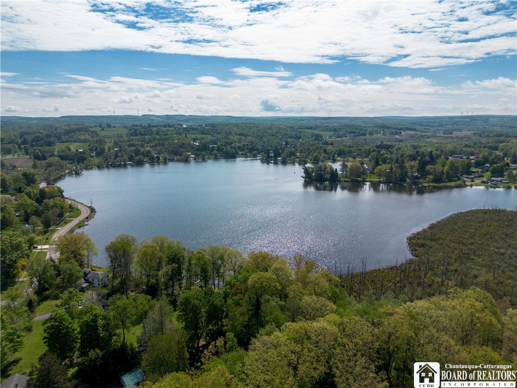 230 Dale Drive, Stockton, New York image 23