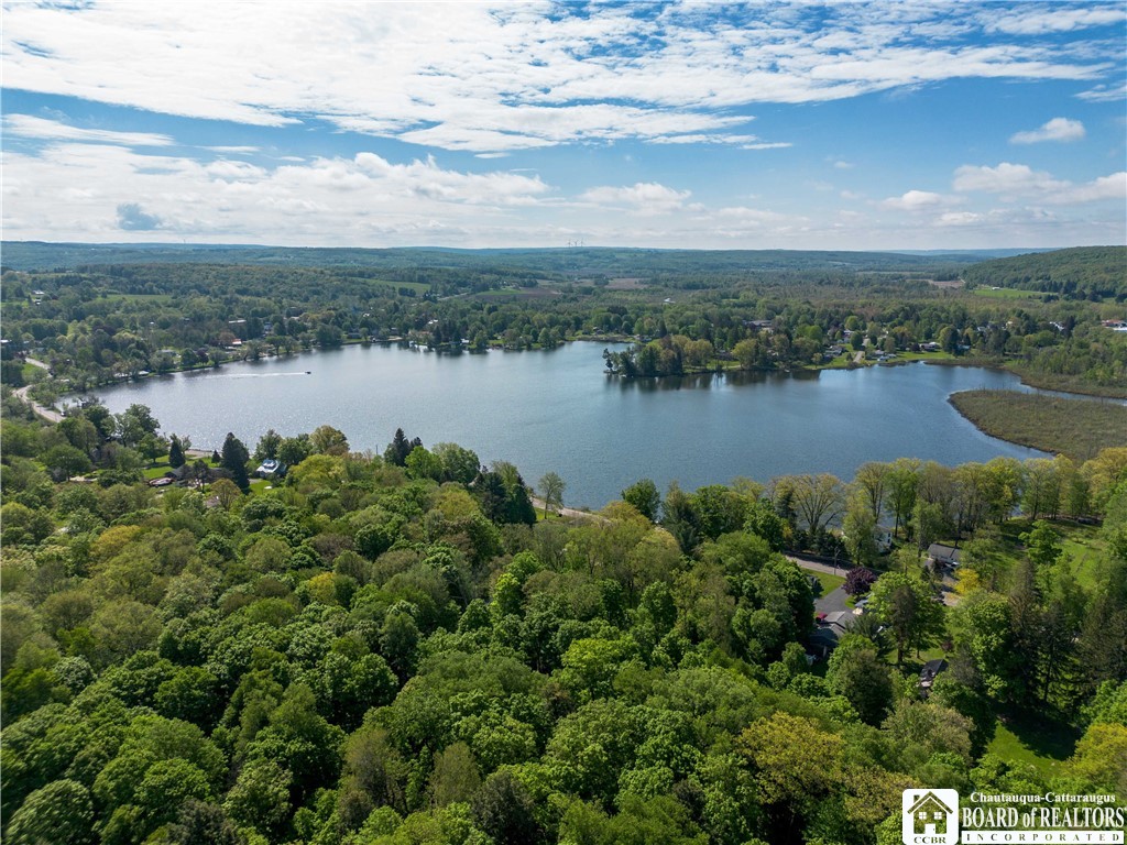 230 Dale Drive, Stockton, New York image 22