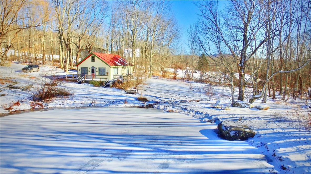 1949 Upper Meeker Hollow Road, Roxbury, New York image 3