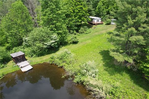Vacant Land For Sale - Gay Hollow Road<br/> Spencer, NY 14883