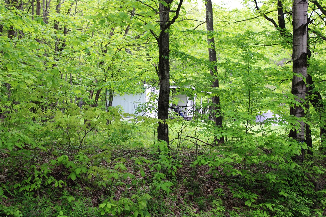 435 Smith Road, Worcester, New York image 6