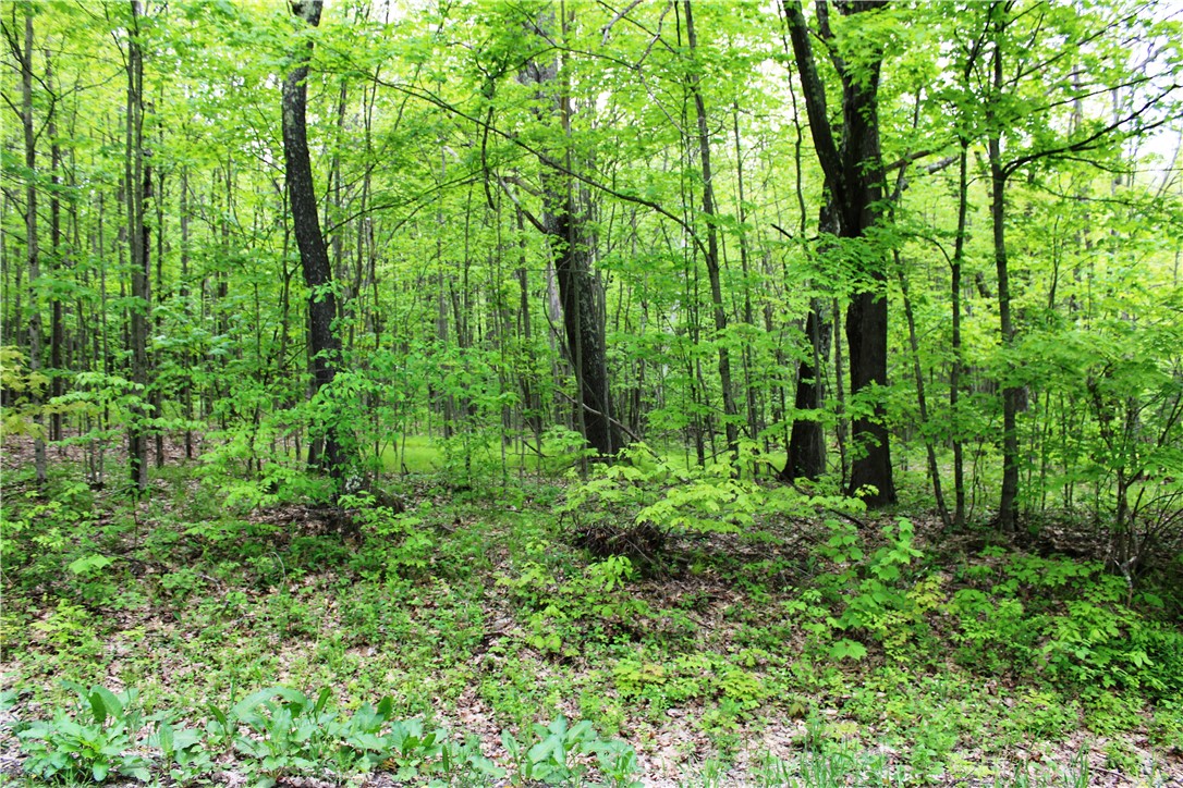 435 Smith Road, Worcester, New York image 5