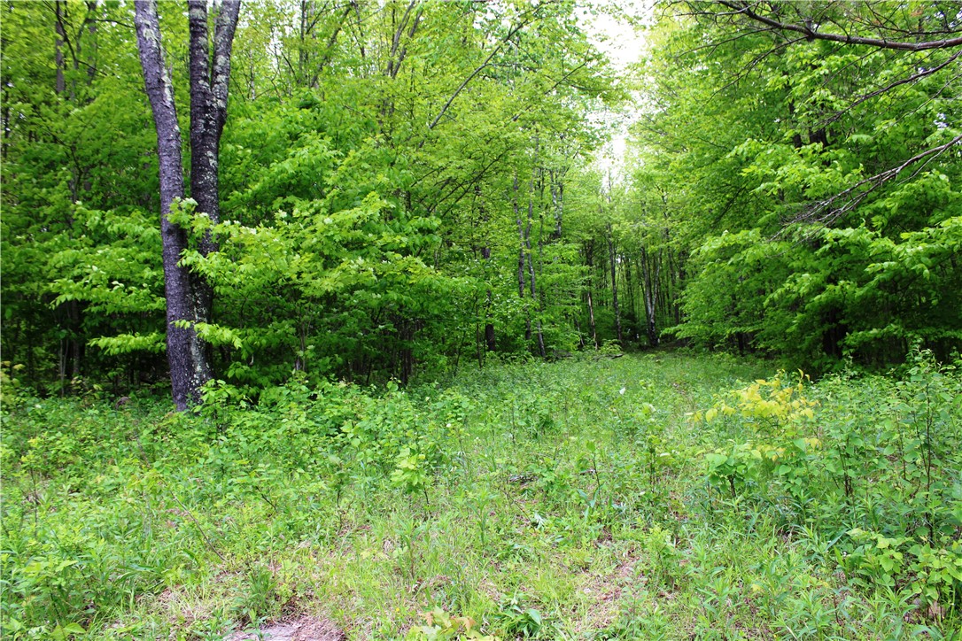 435 Smith Road, Worcester, New York image 8