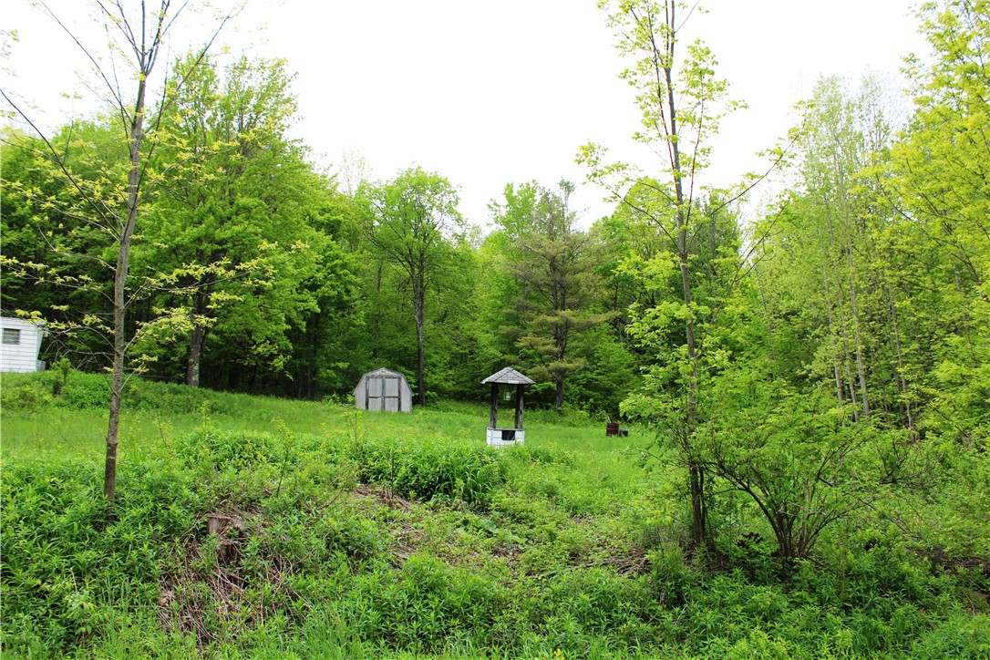 435 Smith Road, Worcester, New York image 3