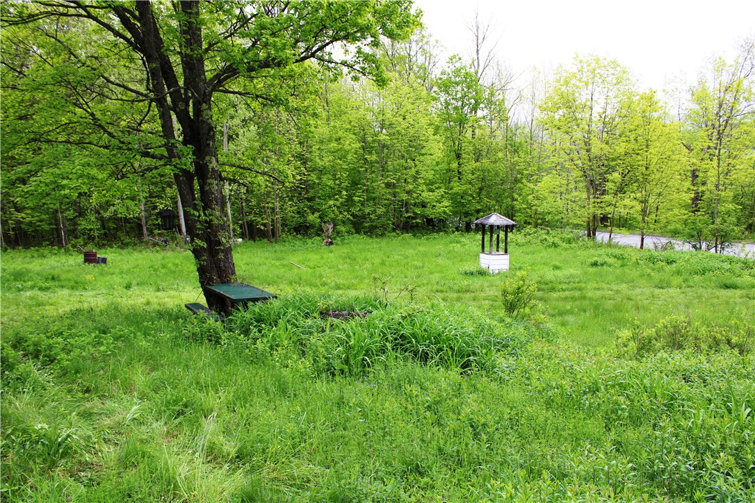 435 Smith Road, Worcester, New York image 19
