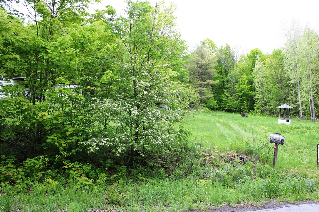 435 Smith Road, Worcester, New York image 17