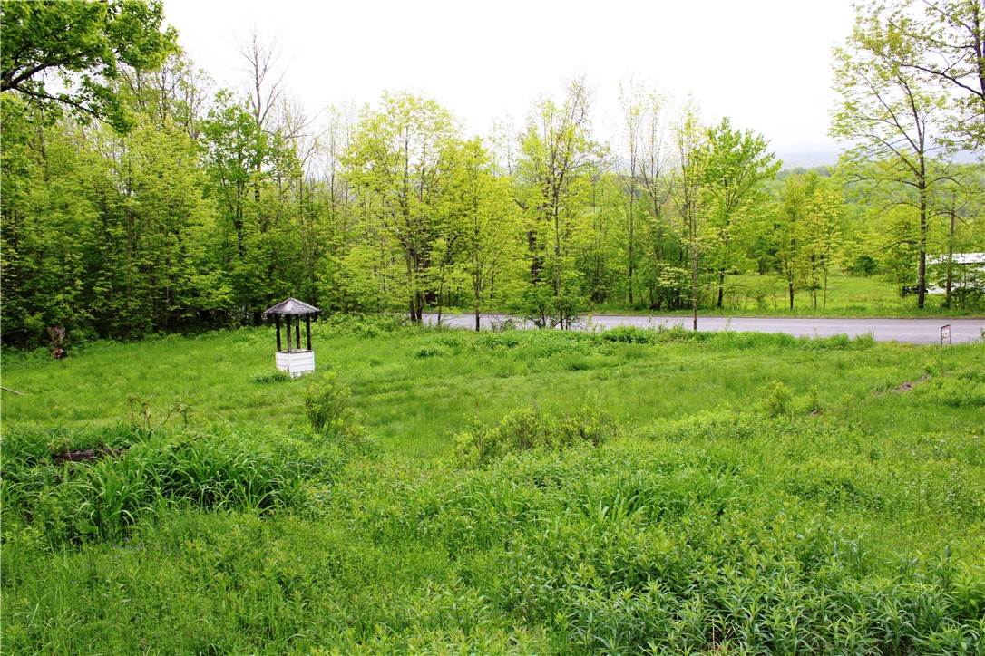 435 Smith Road, Worcester, New York image 18