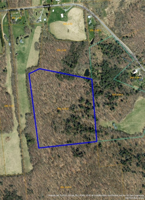 Vacant Land For Sale - 730 Bob's Brook Road<br/> Delaware County, Walton, NY 13856