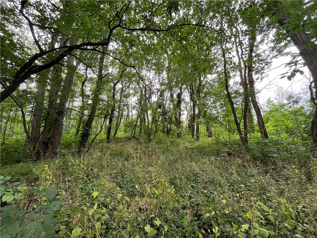 Alexander, New York 14005, United States, ,Land,Active,161134