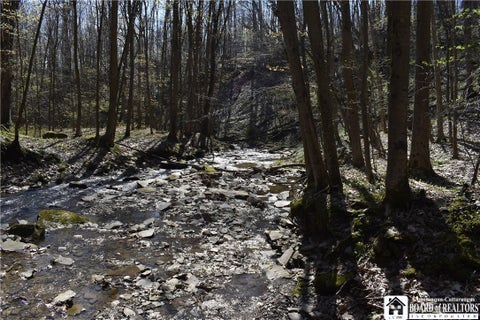 Vacant Land For Sale - Fuller Gulf Road<br/> Chautauqua County, Ellington, NY 14723