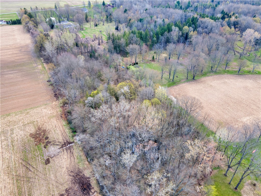 1983 Gloria Drive, Penfield, New York image 41