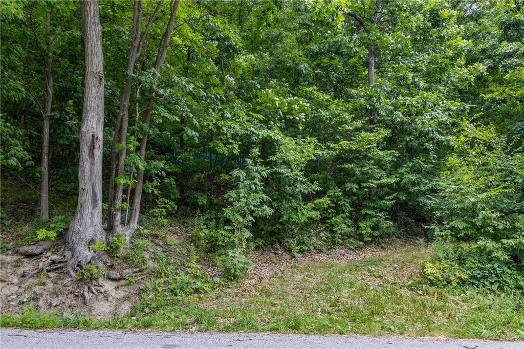 Photo of Dug Road, Naples, NY 14512 (MLS # R1697606)