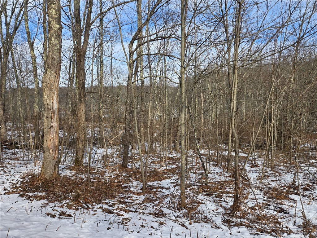 Lot 35 Streeter Hill Road, Middletown, New York image 10