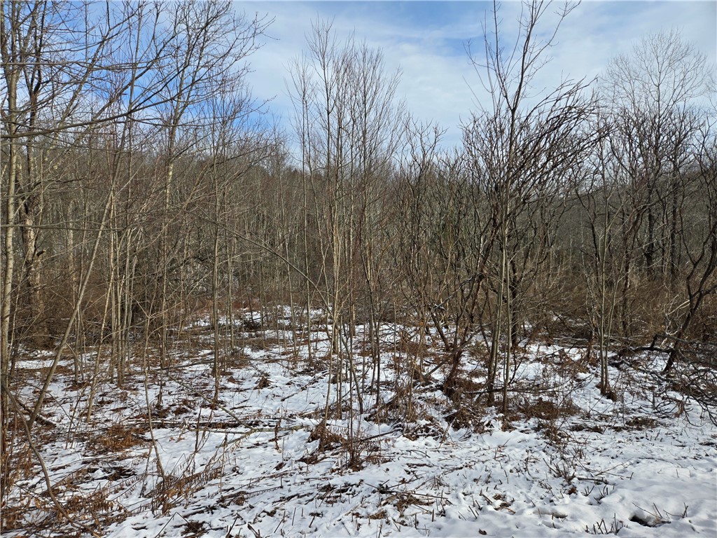 Lot 35 Streeter Hill Road, Middletown, New York image 12