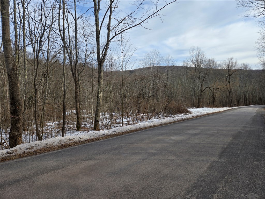 Lot 35 Streeter Hill Road, Middletown, New York image 2