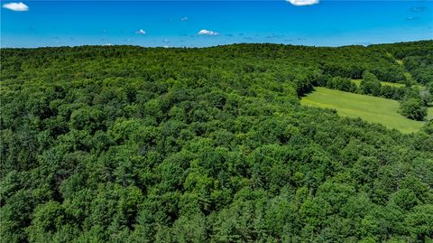Vacant Land For Sale - Lower Ravine Road<br/> Chenango County, Norwich, NY 13815