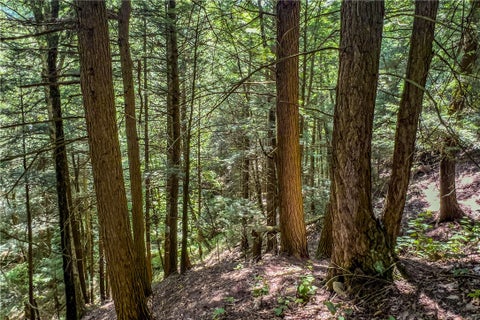 Tiny photo for Lot 23 Lynch Road, Delhi, NY 13753 (MLS # R1702513)