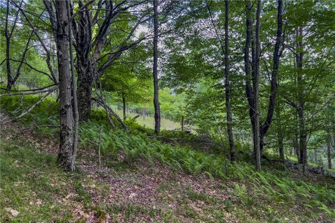 Tiny photo for Lot 23 Lynch Road, Delhi, NY 13753 (MLS # R1702513)