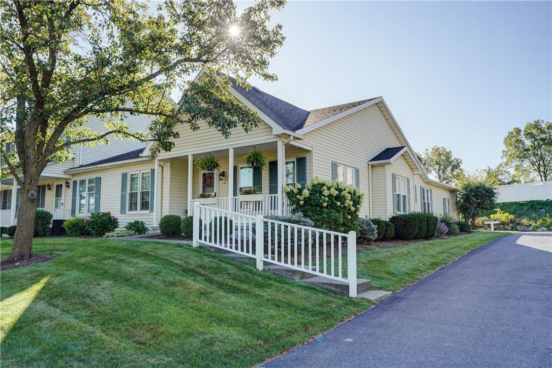 10 Hamlin Drive