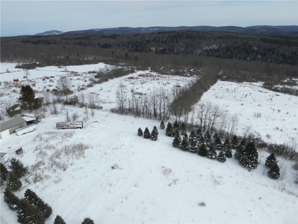 442 Roscoe Jones Road