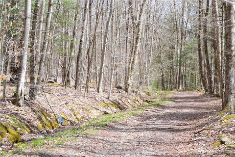 Vacant Land For Sale - LOTS 11 & 12 Carpino Road<br/> Andes, NY 13731