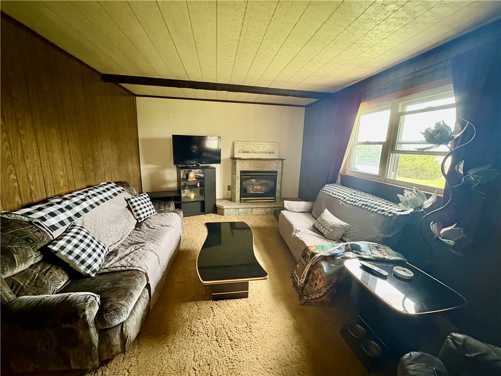 526 Wiley Road, Savannah, New York image 12