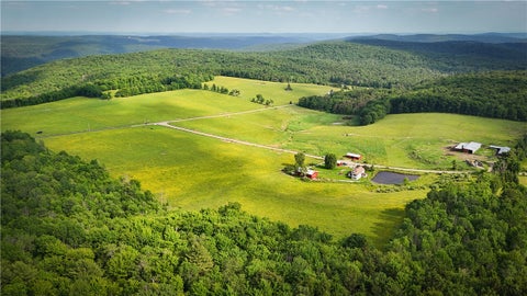 Vacant Land For Sale - V/L-1 Putt Hill Road<br/> Chemung County, Chemung, NY 14825