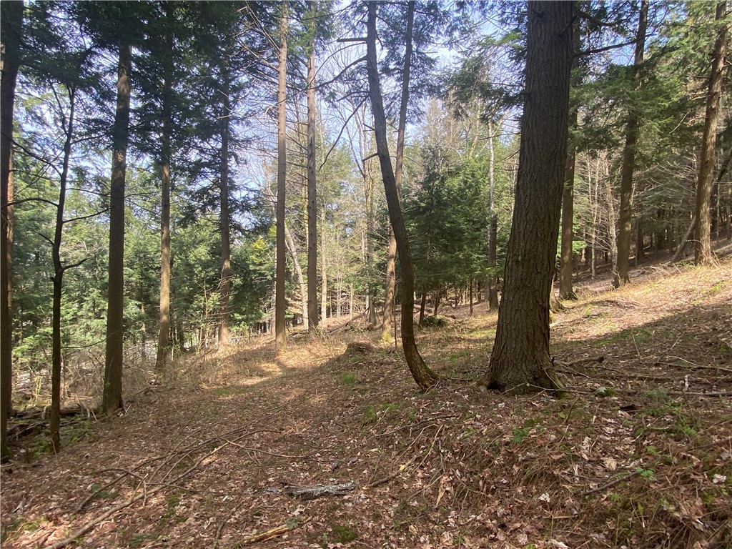 Lot A Piermott Lane, Hartwick, New York image 7