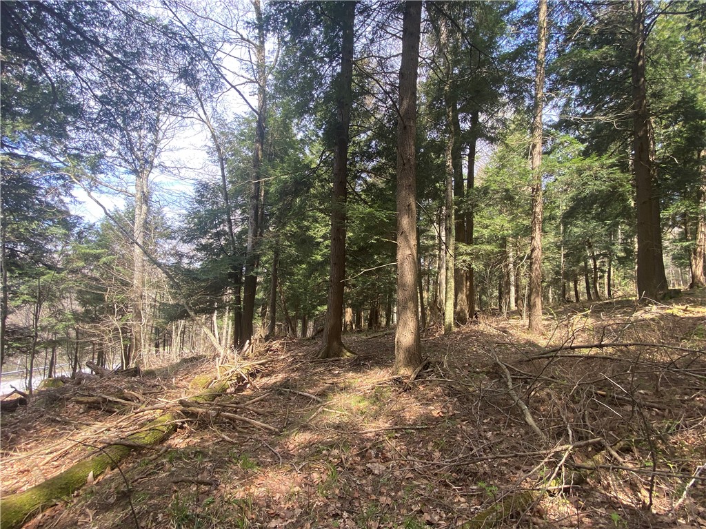 Lot A Piermott Lane, Hartwick, New York image 3