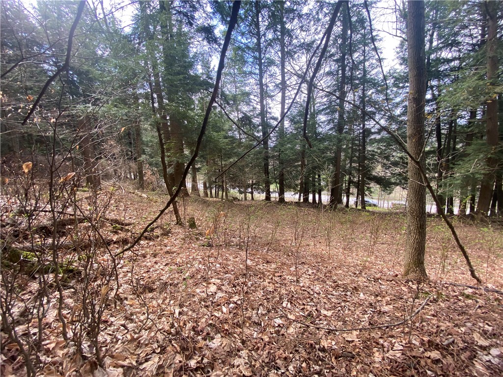 Lot A Piermott Lane, Hartwick, New York image 10
