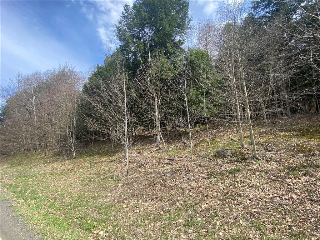 Lot A Piermott Lane, Hartwick, New York image 2